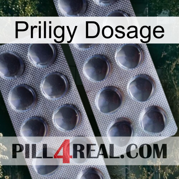 Priligy Dosage 31.jpg